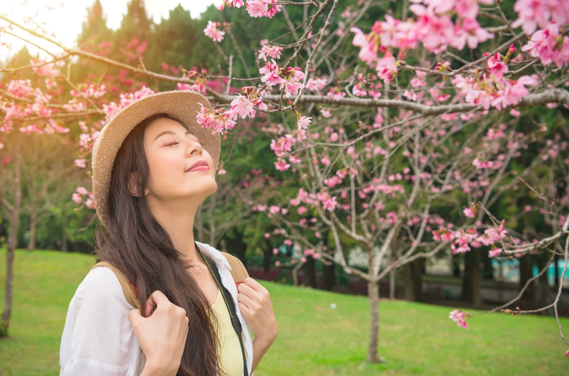 花季行程年年有，為什麼只有少數民宿被記住？