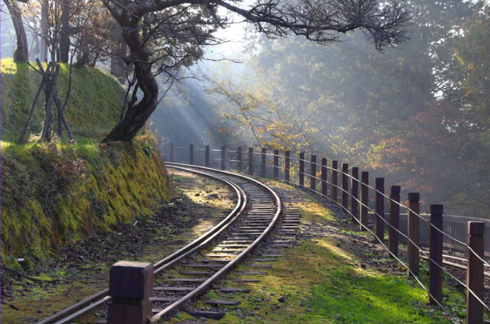 國旅不缺風景，缺的是留白：阿里山慢旅給民宿經營者的啟示