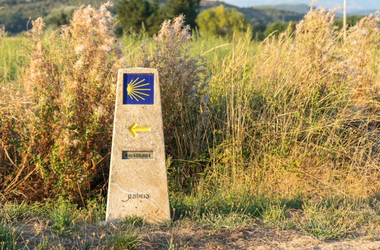 從 Camino de Santiago 看慢旅行：路線、身體感與地方記憶如何形成旅程
