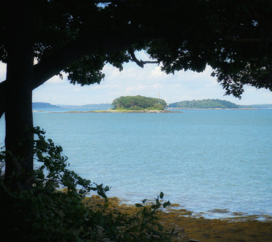 台灣最孤獨的神祕島嶼：東嶼坪嶼與海底紫色珊瑚森林