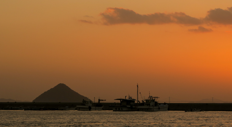 直島為什麼讓人願意為藝術停留?從 Naoshima 看文化空間如何成為旅行目的地