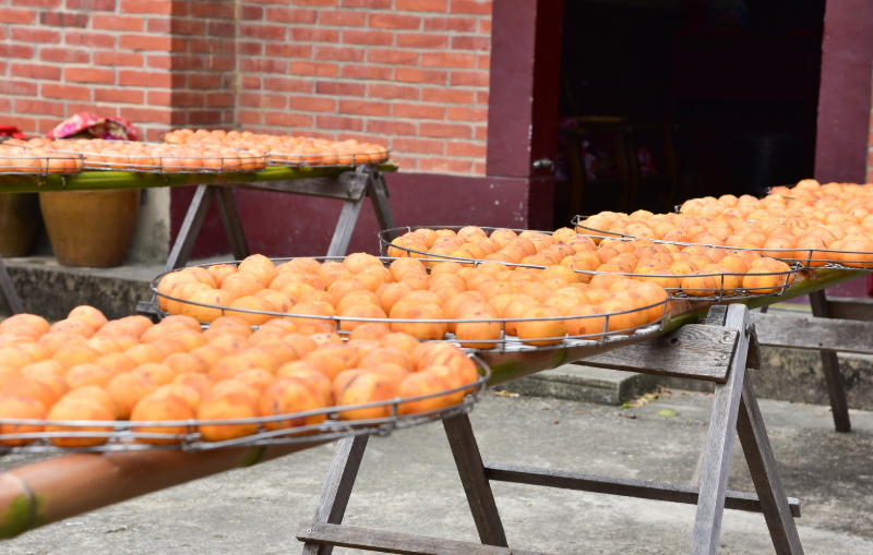台灣農村民宿怎麼做食農體驗？從義大利 Agriturismo 看經營設計